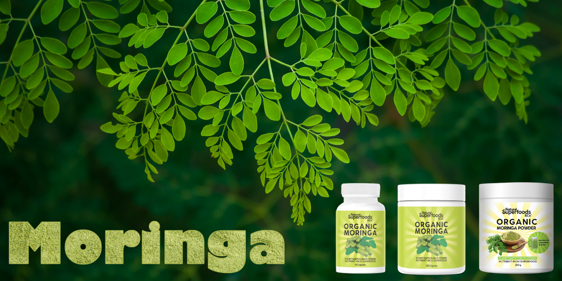 Moringa Powder, your supernutrient